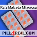 Raíz Malvada Milagrosa 27